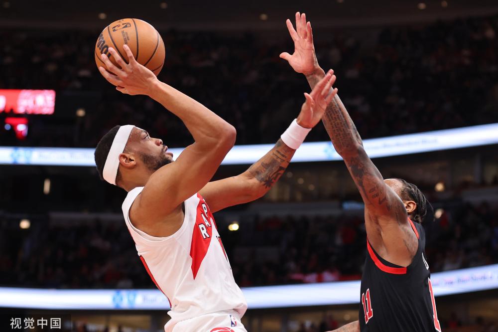 式的观看体 式的观看体